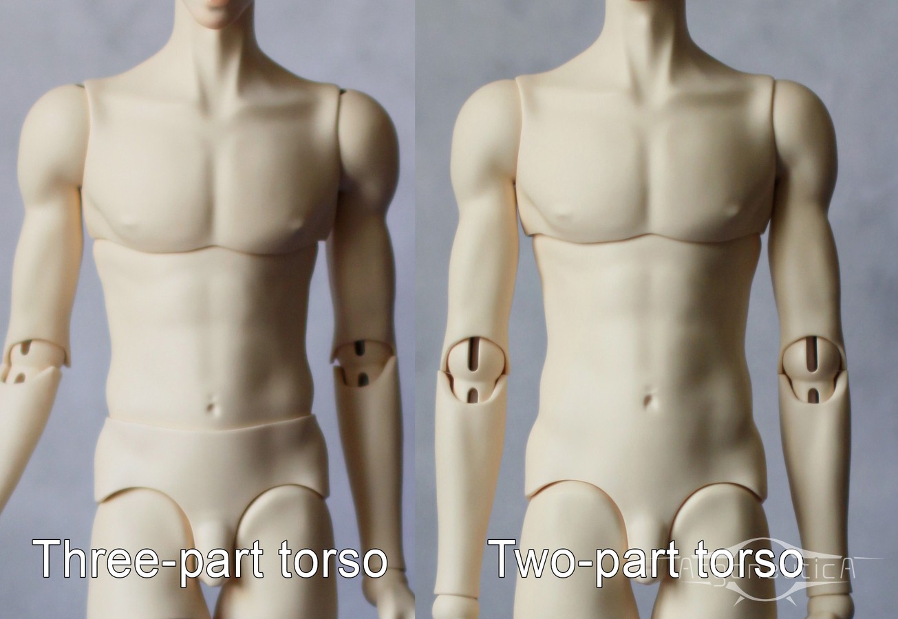Male body 1/3  Argonautica Dolls